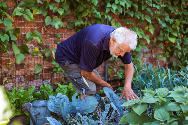 istock Farmers working on the land and checking crops 1413872525