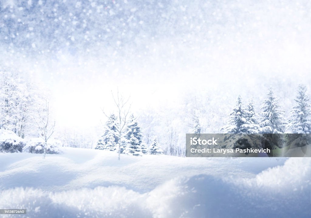 Beautiful winter Christmas scenic background with space for text. Winter Christmas scenic background with copy space. Snow landscape with fir-trees covered with snow, snowdrifts and snowfall against the sky on nature outdoors, copy space, toned blue. Winter Stock Photo