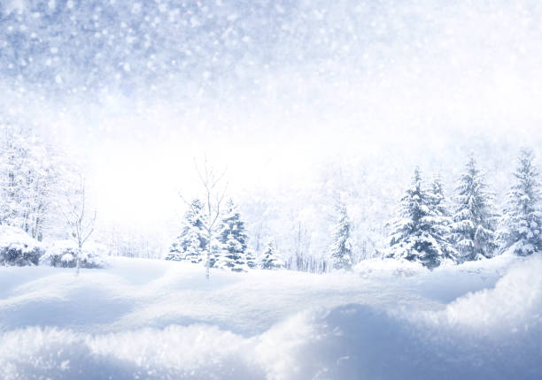 Beautiful winter Christmas scenic background with space for text. Winter Christmas scenic background with copy space. Snow landscape with fir-trees covered with snow, snowdrifts and snowfall against the sky on nature outdoors, copy space, toned blue. winter stock pictures, royalty-free photos & images