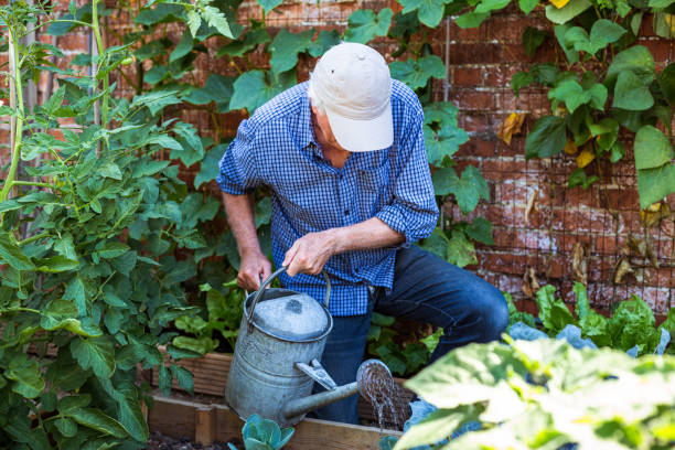 istock Farmers working on the land and checking crops 1413872672