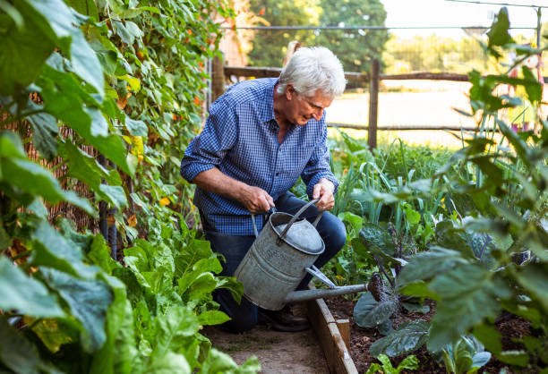 istock Farmers working on the land and checking crops 1413872681