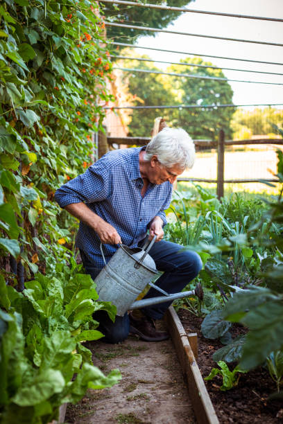 istock Farmers working on the land and checking crops 1413872696