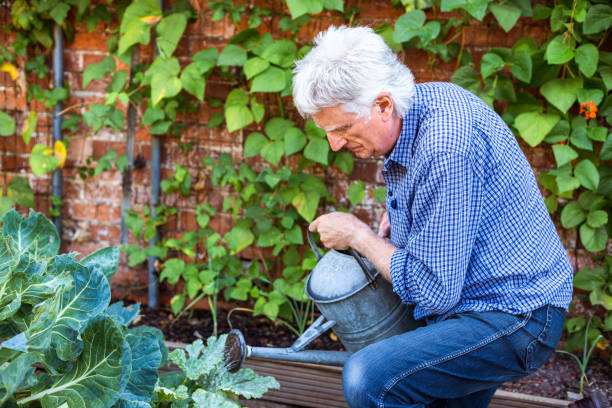 istock Farmers working on the land and checking crops 1413872714
