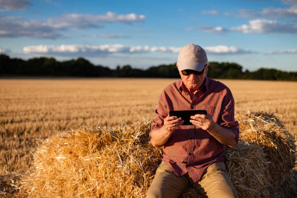 istock Farmers working on the land and checking crops 1413873438