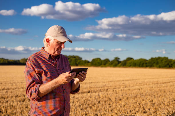 istock Farmers working on the land and checking crops 1413873563