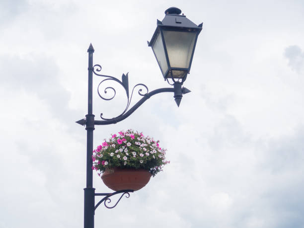 Beautiful ornate iron lantern with flower pot on the cloudy sky background. Street light lamp with decorative elements and flowers.