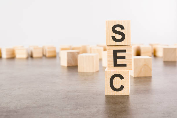 istock SEC text as a symbol on cube wooden blocks. many wooden blocks in the background. 1413877501