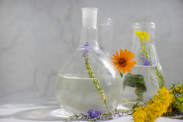 istock Laboratory flask, flower on a light background 1413878673