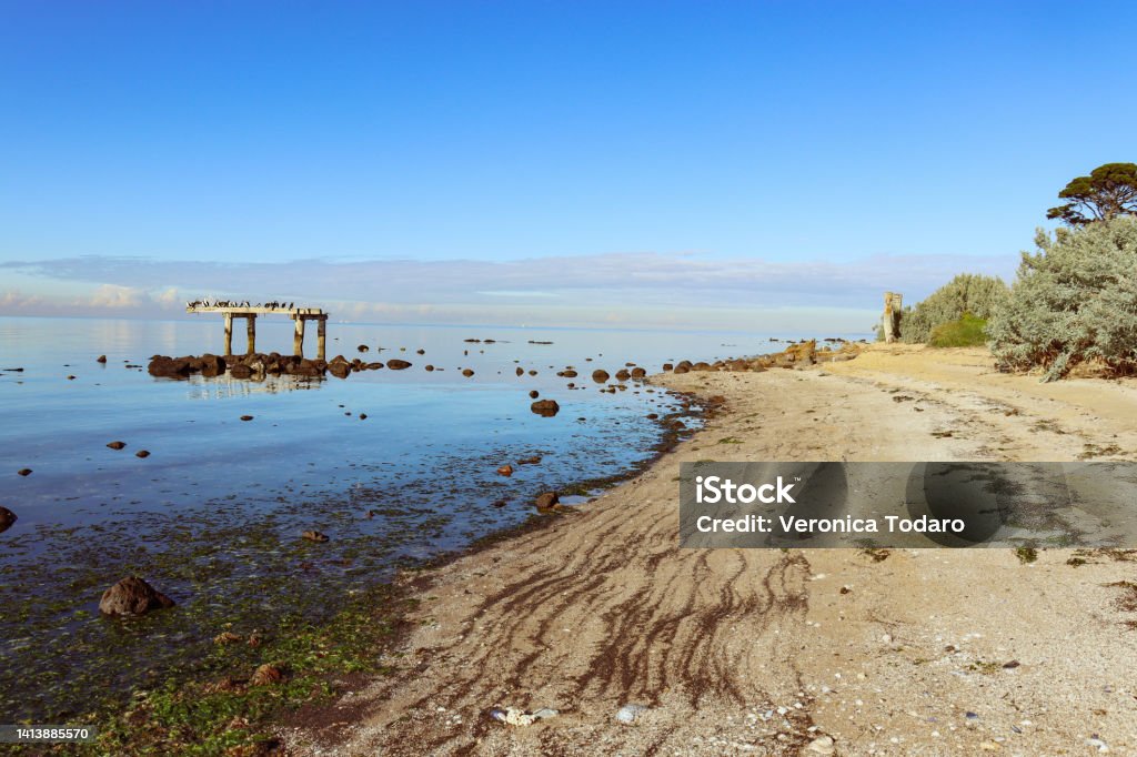 beach landscape with birds on old pier int he sea beach foreshore with birds on remains of old pier in calm sea Animal Wildlife Stock Photo