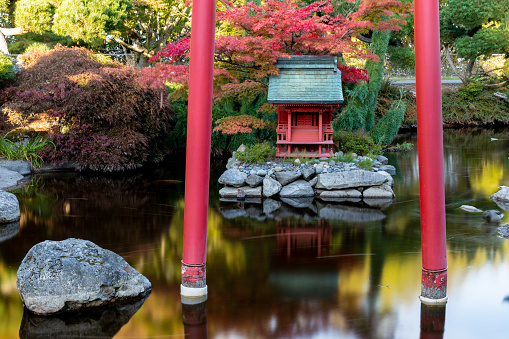 Japanese Garden in Point Defiance Park in Autumn - Tacoma, WA, October 10, 2020