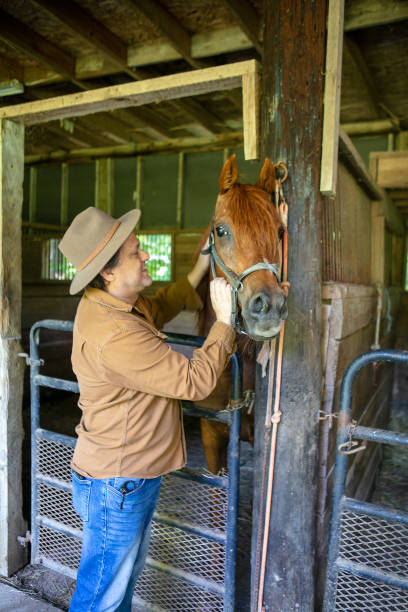 istock Cowboy Petting Horse 1413900891