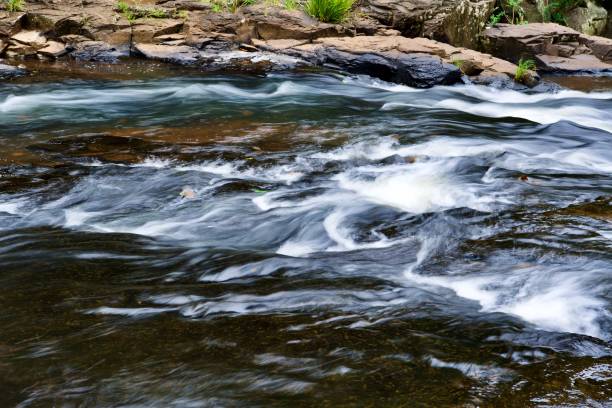 istock Leaf On The River, Maleny, Queensland 1413902427