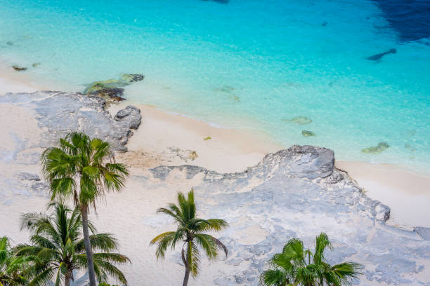 istock Tropical paradise: Cancun idyllic caribbean beach from above, Riviera Maya 1413904298