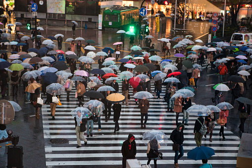 Tokyo, Japan - November 25, 2012 :crowds of people are crossing over one of the busiest crossings in Tokyo while it is rainy and roads are vibrant and people are carrying umbrellas above them