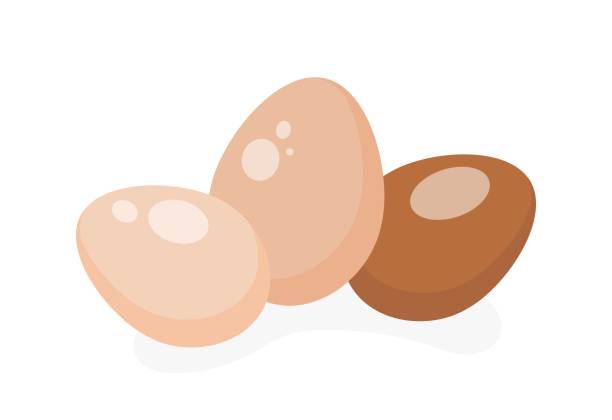satz chiken-eier - animal egg eggs food white stock-grafiken, -clipart, -cartoons und -symbole