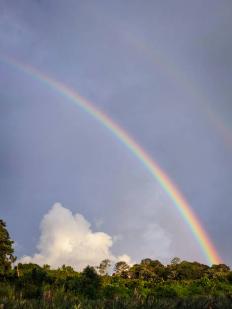 istock Double rainbow over the jungle 1413911381