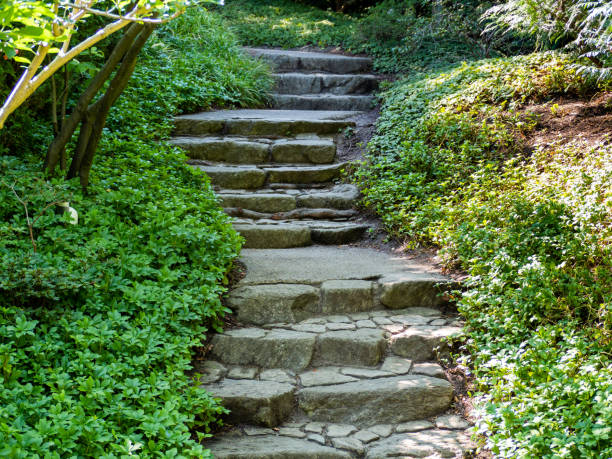istock Stone steps in the forest. Steps made of stone in the forest. 1413912561