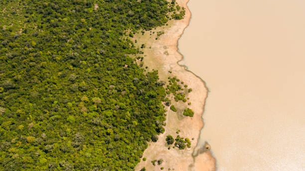 istock Tropical landscape with a lake. Sri Lanka. 1413913829