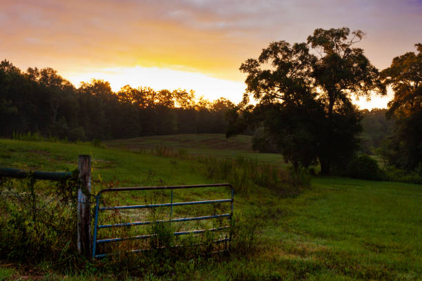 istock Sunrise in rural Alabama 1413914816