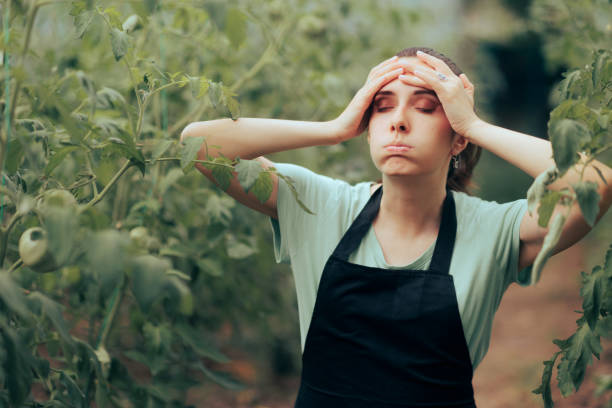 istock Stressed Farmer Feeling Worried about her Crops and Profit 1413916410