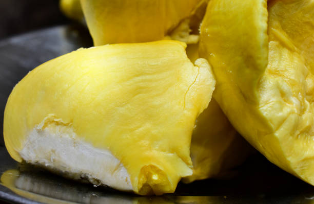 durian frut food