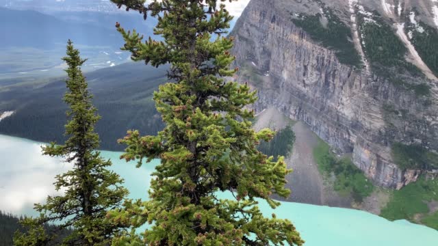 View of Lake Louise from the Big Beehive hike - panning shot of the lake