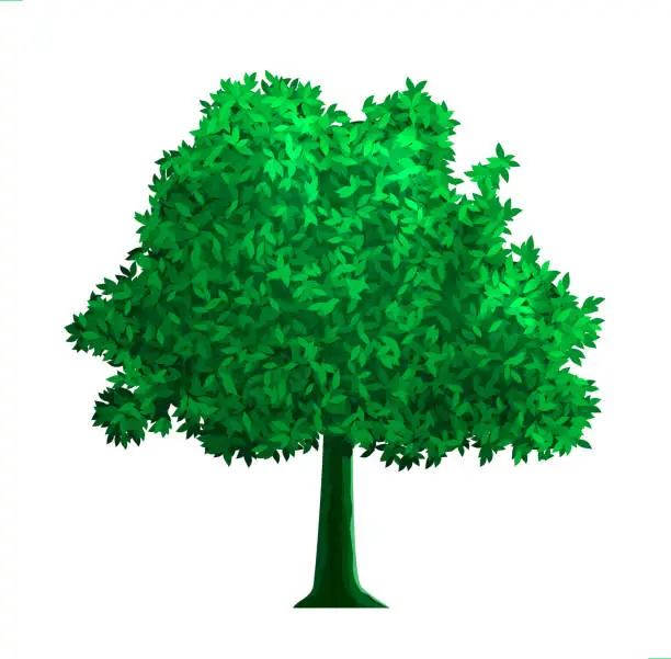 Vector illustration of tree