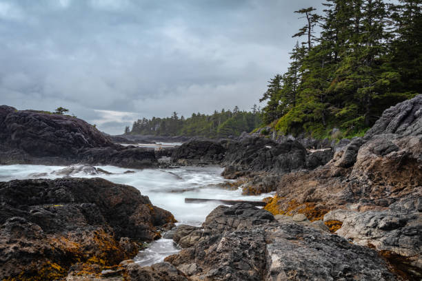 istock Wild Pacific Trail, Vancouver Island, B.C. 1413923525