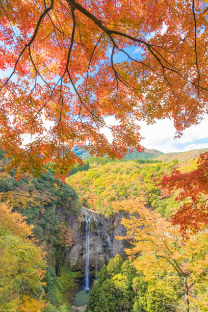 istock autumn leaves and waterfall 1413924784