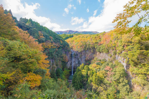 autumn leaves and waterfall