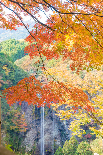 istock autumn leaves and waterfall 1413924805