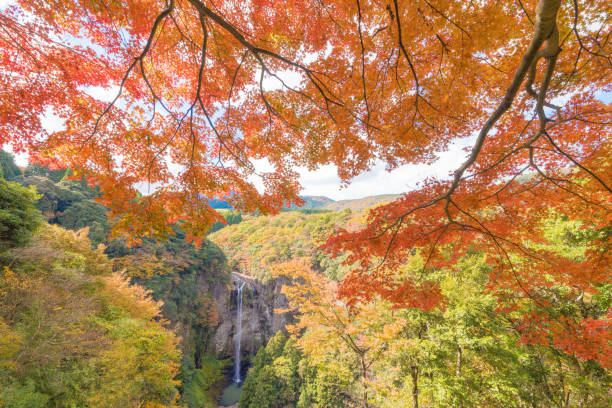 istock autumn leaves and waterfall 1413924824