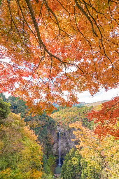 istock autumn leaves and waterfall 1413925370