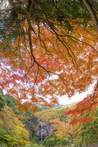 istock autumn leaves and waterfall 1413925383