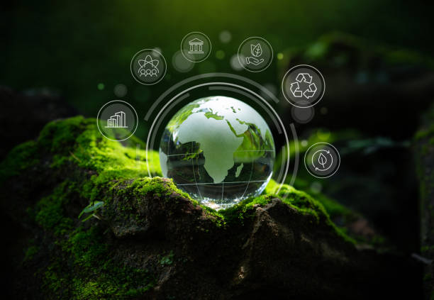 Crystal globe putting on moss, ESG icon for Environment Social and Governance, stock photo