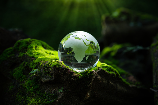 Crystal globe putting on moss, ecology and environment sustainable concept.