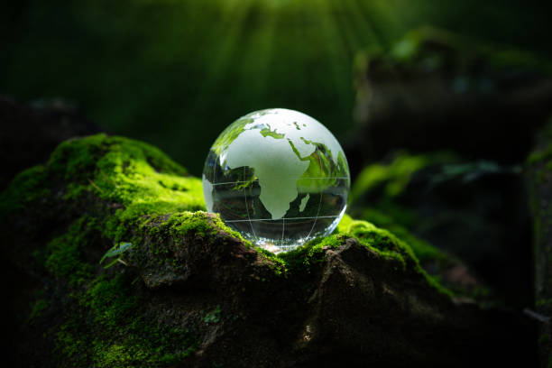 Crystal globe putting on moss stock photo
