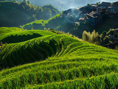 Guilin Longsheng Rice Terraces