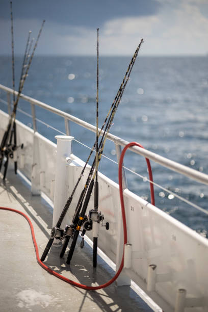 istock Rods and the ocean 1413943297