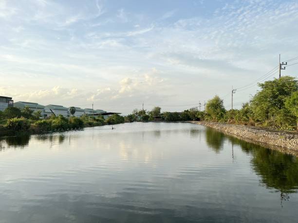 istock fish pond in country Chachoengsao at Thailand 1413945457