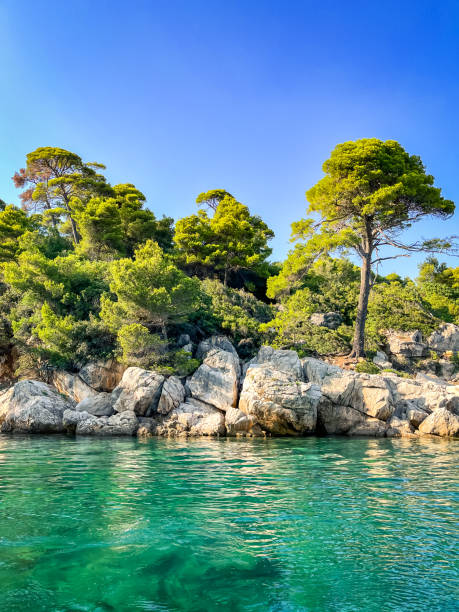istock Rocky island coastline with trees 1413946599
