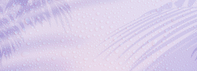 water drop banner on pastel background with plant shadow
