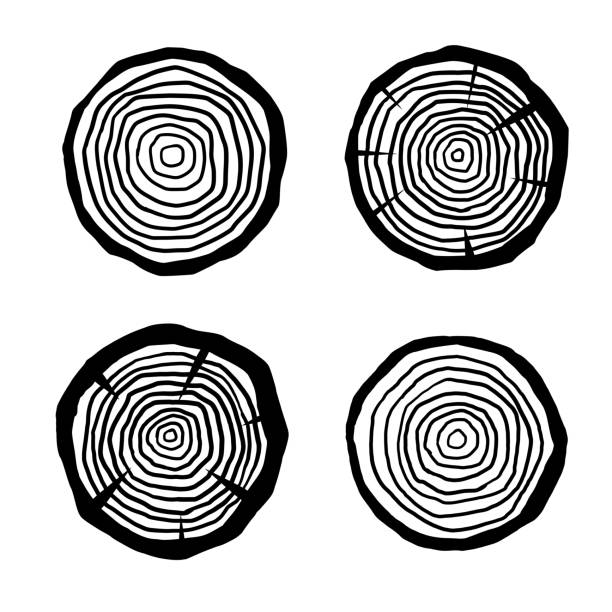 木の幹を切る。切り株断面。木材上の同心円状のパターン。ロガーと木工産業のアイコン - tree ring点のイラスト素材／クリップアート素材／マンガ素材／アイコン素材
