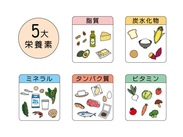 Foods with 5 macronutrients Clip art of Foods with 5 macronutrients. olive oil labels clip art stock illustrations