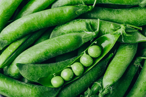 Pea. Green peas pod background stock photo