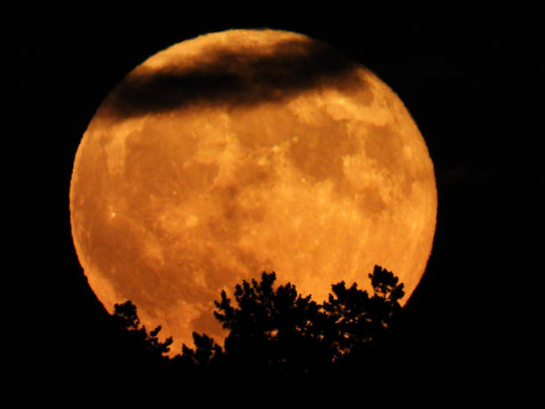 istock fool moon rising behind the trees and clouds 1413966698