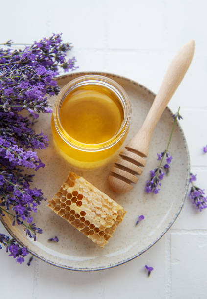 istock Jar with honey and fresh lavender flowers 1413967560