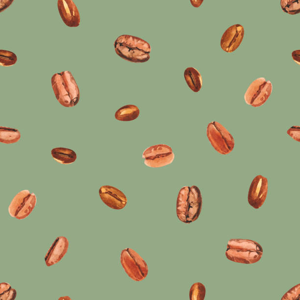 illustrazioni stock, clip art, cartoni animati e icone di tendenza di acquarello dipinto a mano chicchi dell'albero del caffè. pianta del caffè. maturazione delle bacche di caffè. - bean latté pattern frame
