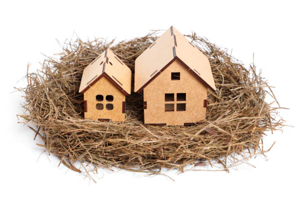 ninho de pássaro com duas casas de madeira de brinquedo em cinza - figurine small pension toy - fotografias e filmes do acervo