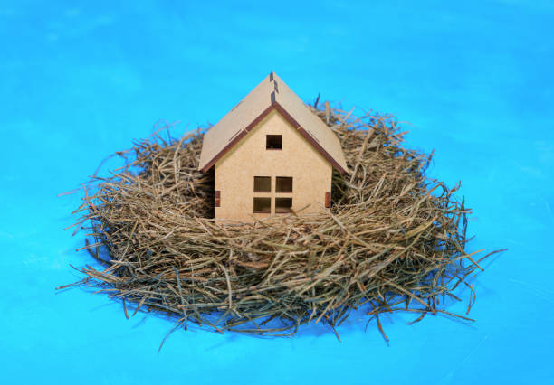 ninho de pássaro com uma casa de madeira isolada em azul - figurine small pension toy - fotografias e filmes do acervo